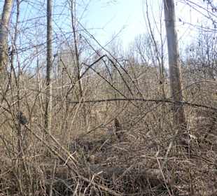 Rundwanderung Haimhausen