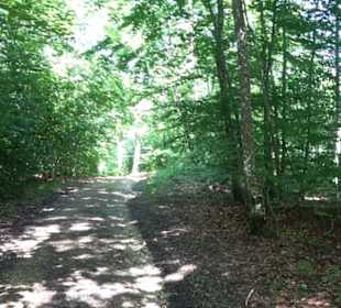 Naturerlebnispfad Sternberg