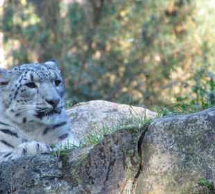 WP LH Herbst Impression