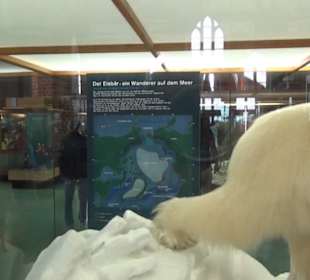 Meeresmuseum Stralsund