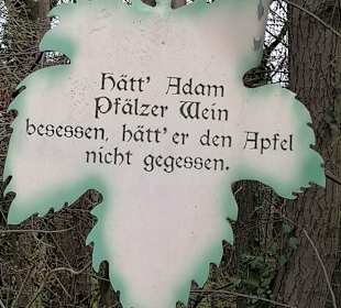 Wandern Edenkoben