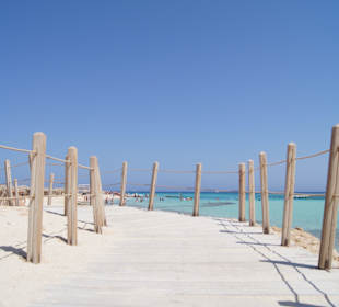 Ausflug auf die Paradiseinsel