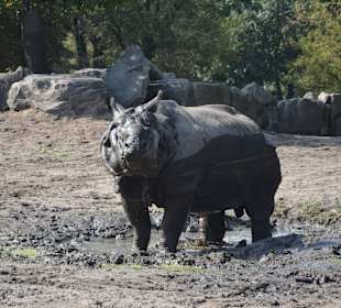 Zoo