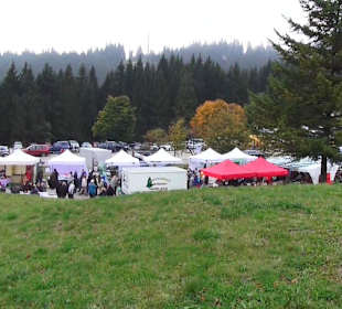 Naturparkzentrum Ruhestein