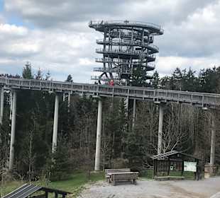 Waldwipfelweg St Englmar/Maibrunn