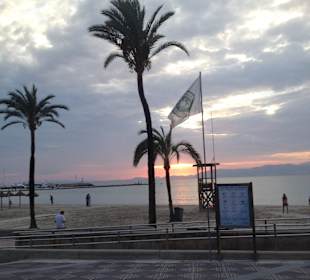 Plattform am Hafen in Arenal