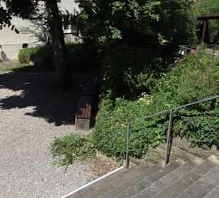 Evangelische Martinskirche