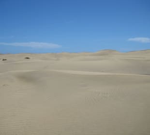 Dünen von Maspalomas