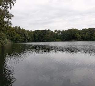 Rensinger See in Kellinghusen