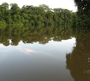 Morgenpirsch im Nationalpark