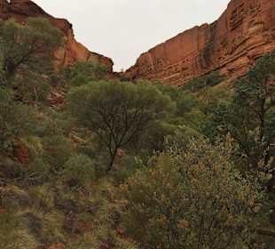 Schlucht im Kings Canyon