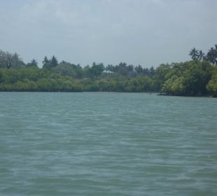 Blick den River entlang