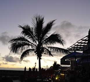 Kiosko Teneguía