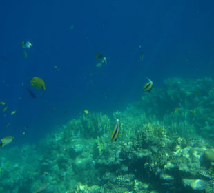 Najfajniejsze w Egipcie