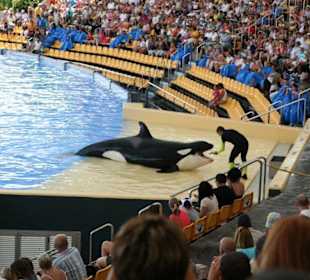 Ausflug nach Loro Parque