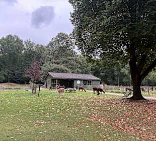 Steinerbos Belevenispark
