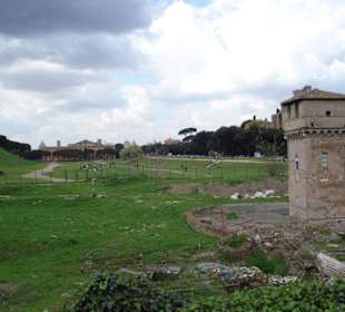 Circus Maximus