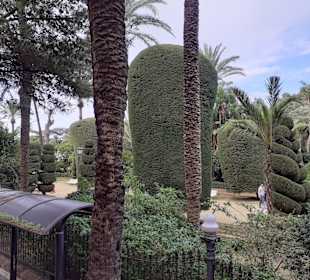 Cadiz