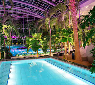 Mineralbecken im Palmenparadies