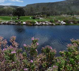 Hermanus Golf Club