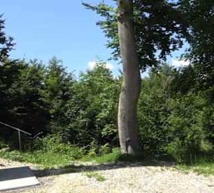 Naturerlebnispfad Sternberg