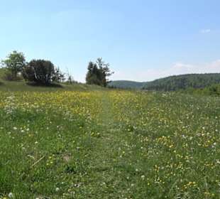 Premiumwanderweg Hochgehschätzt