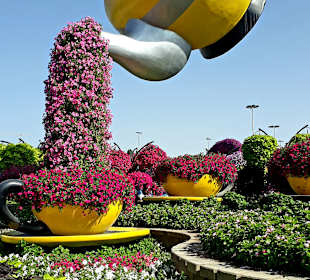 Miracle Garden