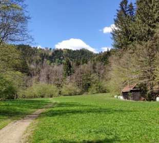 Blick hinauf zum Steinberg