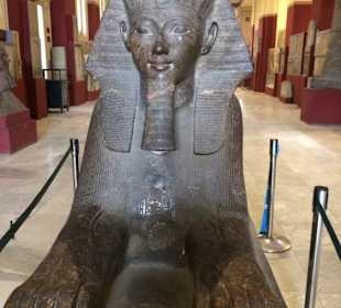 Sphinx 
