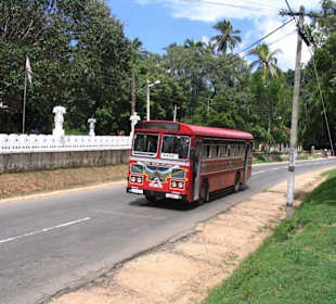Bus