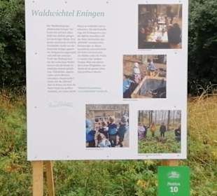 Waldwichtel Eninger Weide