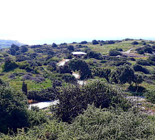 Antike Königsstadt Kourion