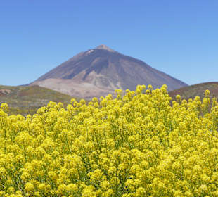 Teide Nationalpark