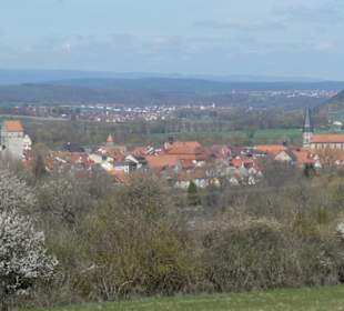 Blick auf die Münnerstadt