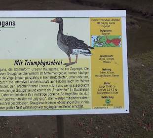 Wildpark Reuschenberg