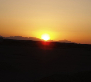 Wüste / Sonnenuntergang