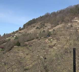 Naturschutzgebiet Hirschauer Berg