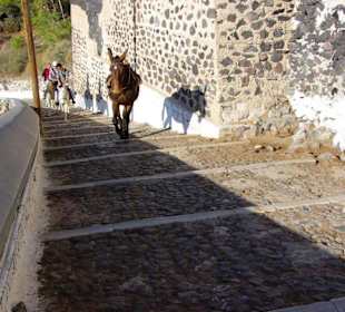 11.Tag Santorin Eselstation