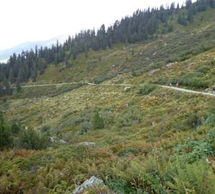 Wanderung zum Unteren Wildalmsee