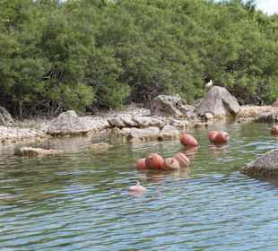 Озеро Курнас 