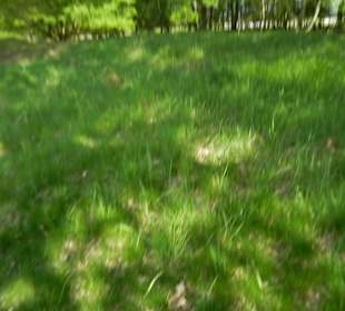 Naturschutzgebiet Boberger Niederung