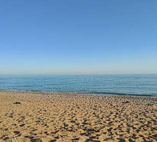 Strand Side - Titreyengöl