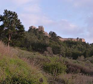 Blick Richtung Burganlage