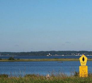 Blick in das Naturschutzgebiet