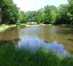 Natur pur