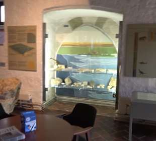 Archäologisches Museum