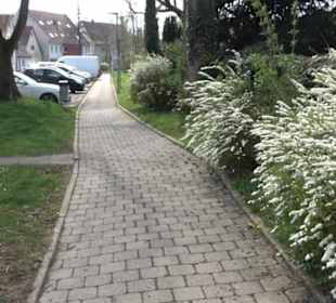 Alter Friedhof