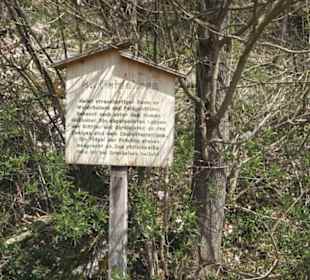 Waldlehrpfad an der Lauter