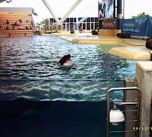 Loro Parque