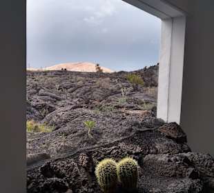 Jardin de Cactus / Kaktusgarten Guatiza